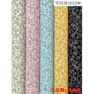 Chiffon Printed Fabric-S6220